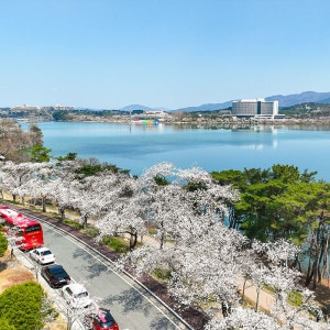 경주 보문호 글램핑