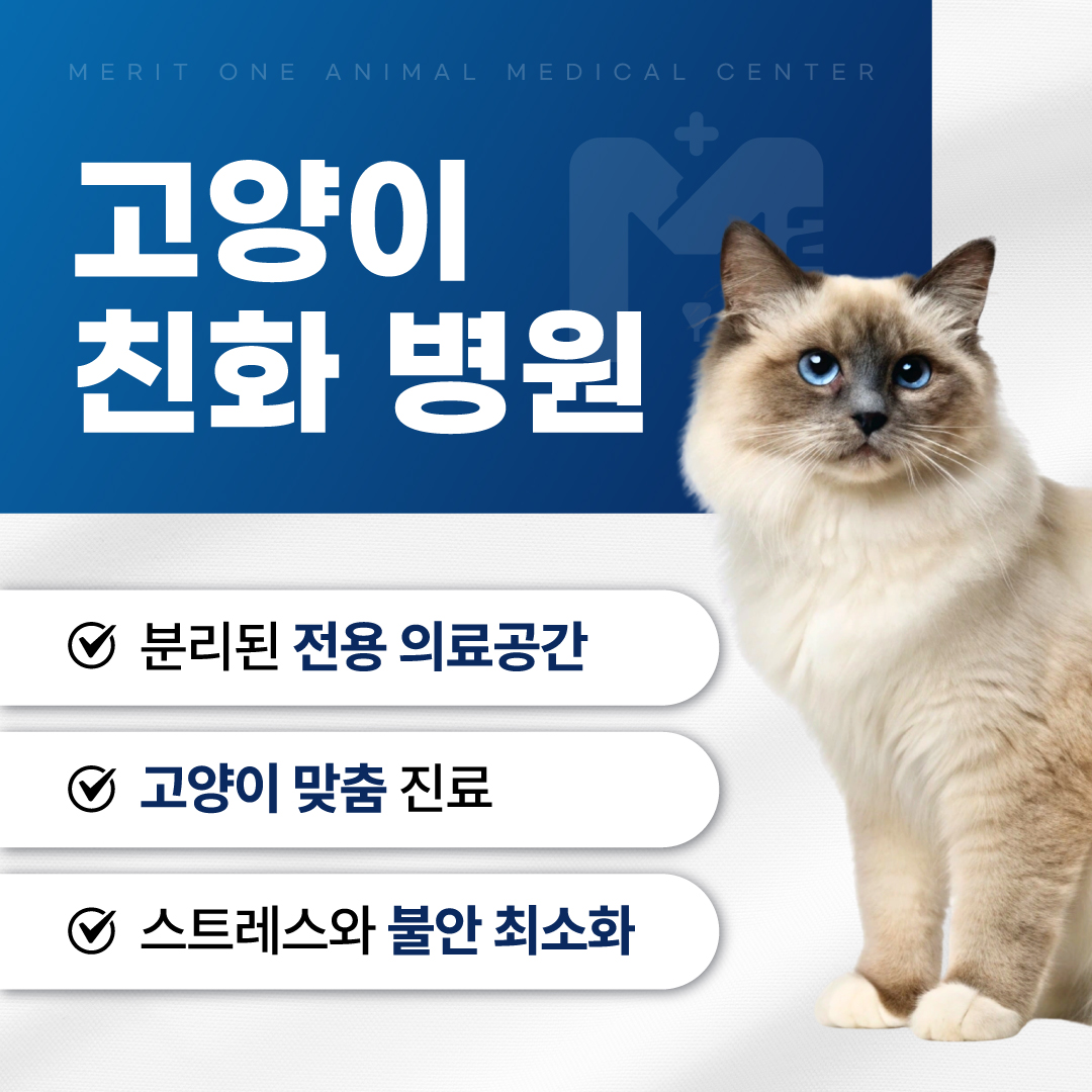 24시 메리트원 동물의료센터 대표 이미지