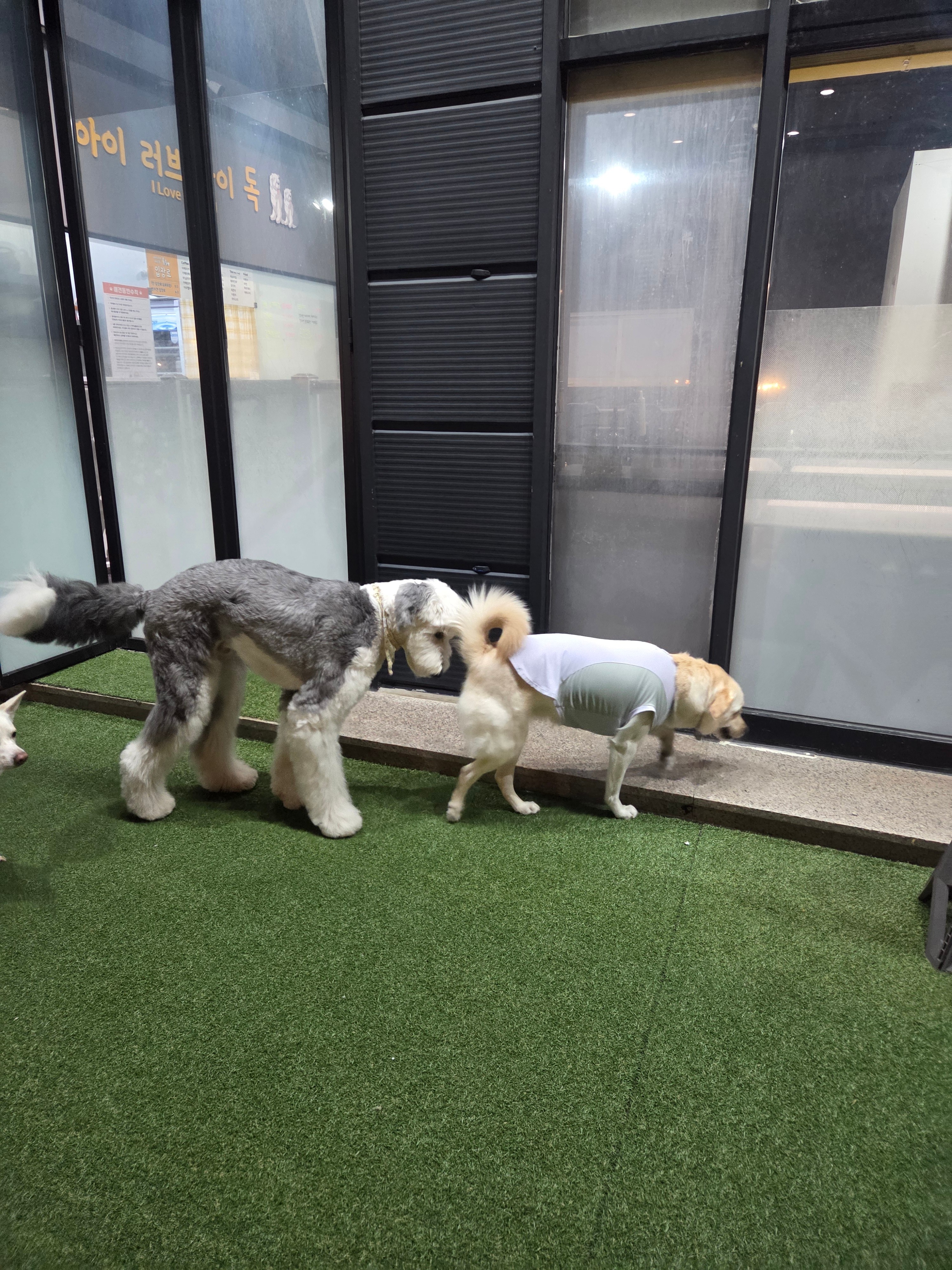 사진 2