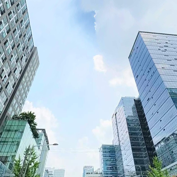 에이스미래공인중개사사무소