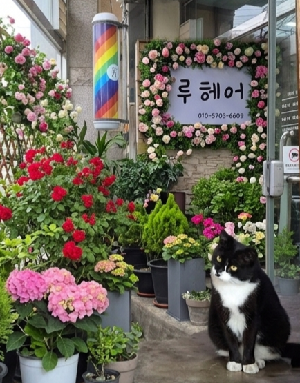 루
