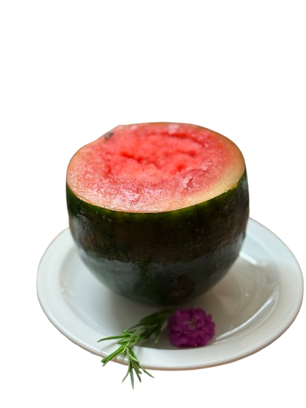 낙원장X하나마토 사진 4