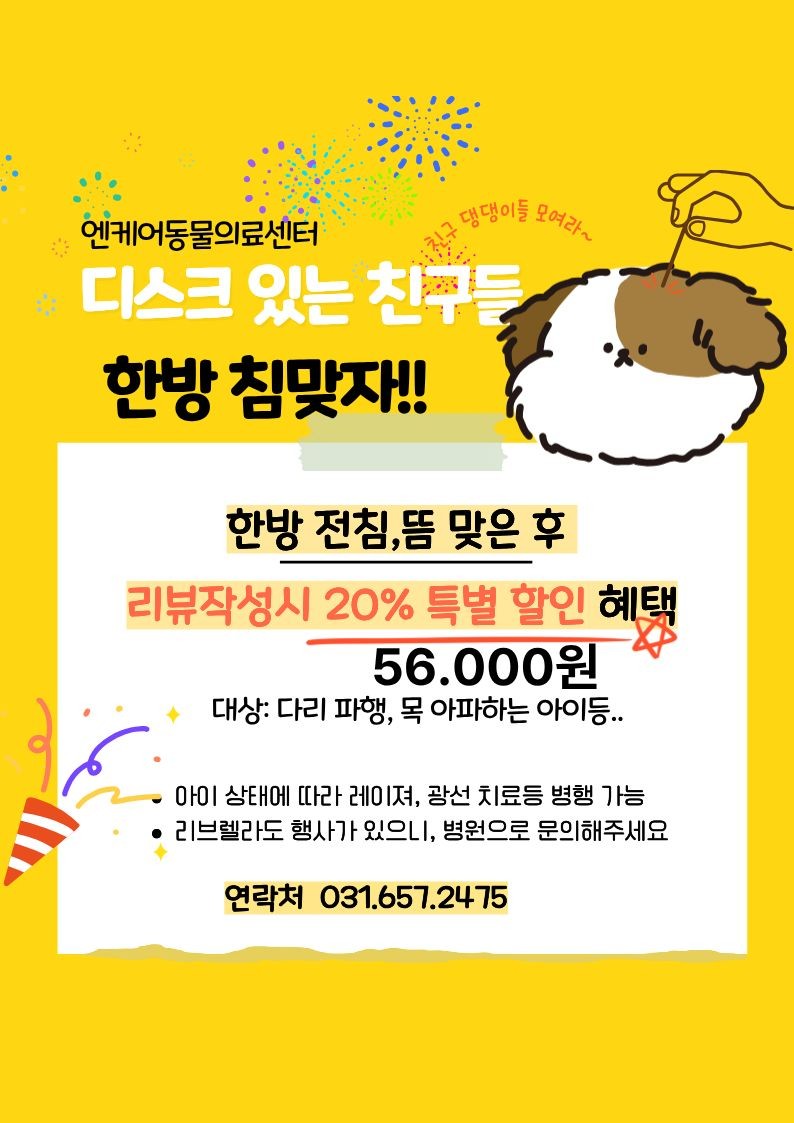 엔케어동물의료센터 대표 이미지