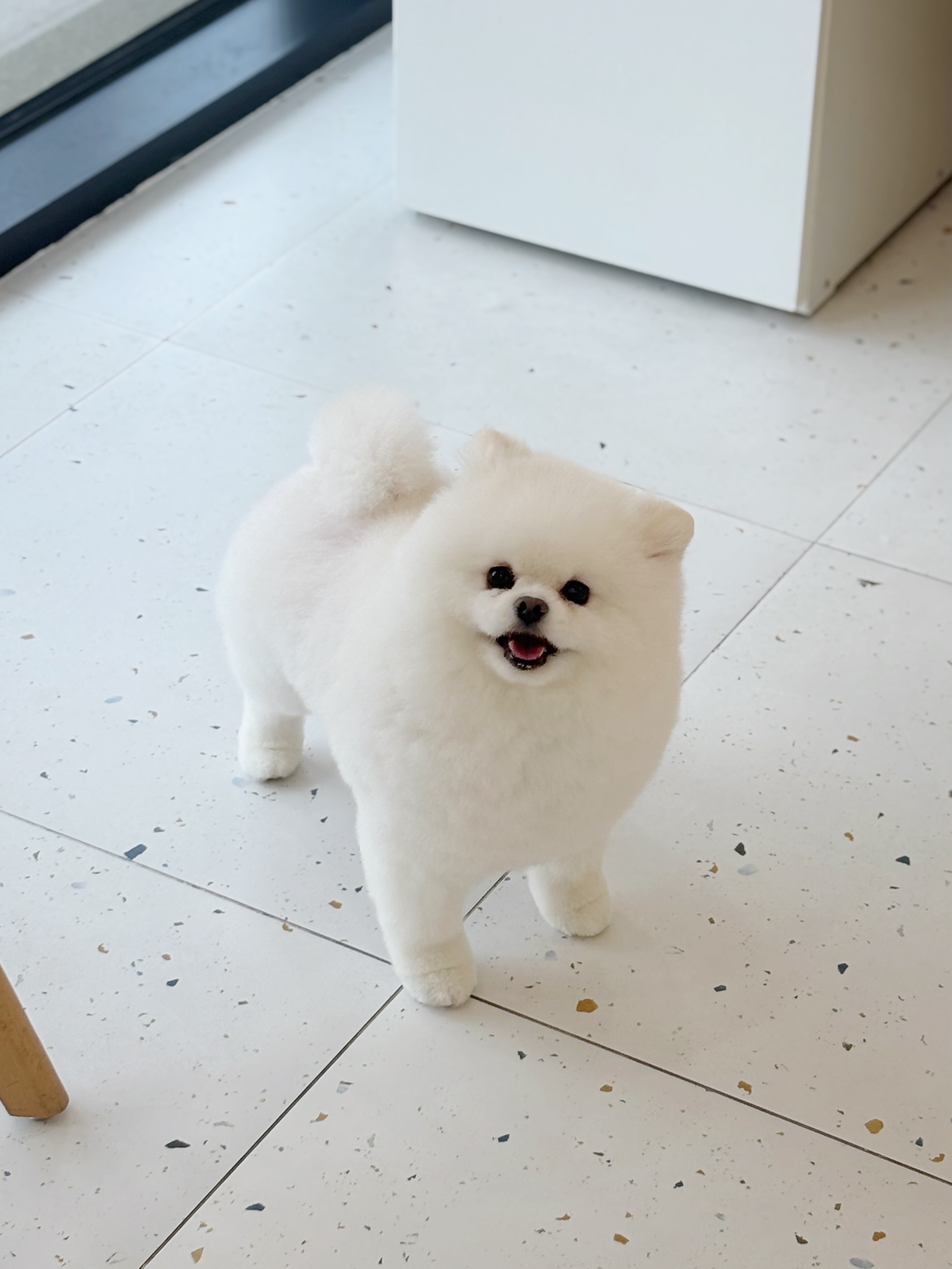 사진 3