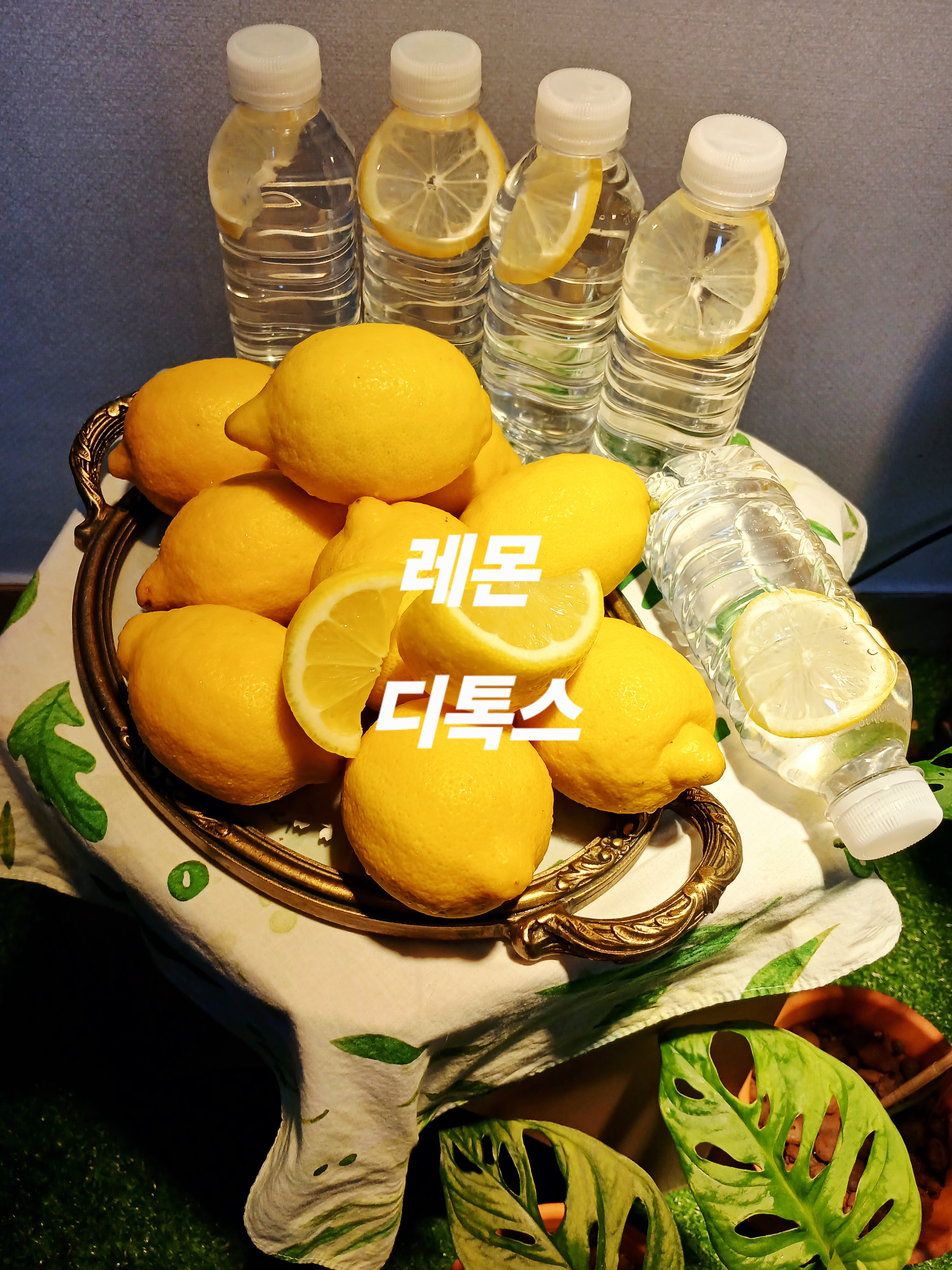 바비약손 photo 8