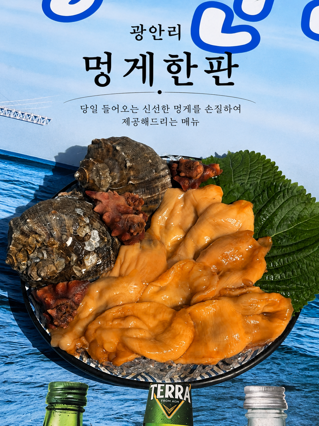 멍게 한판