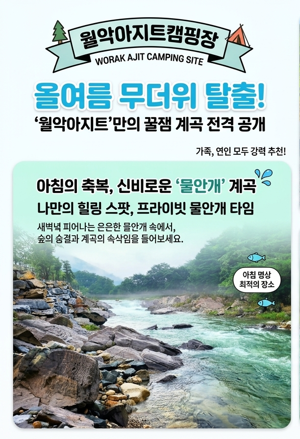 사진 2