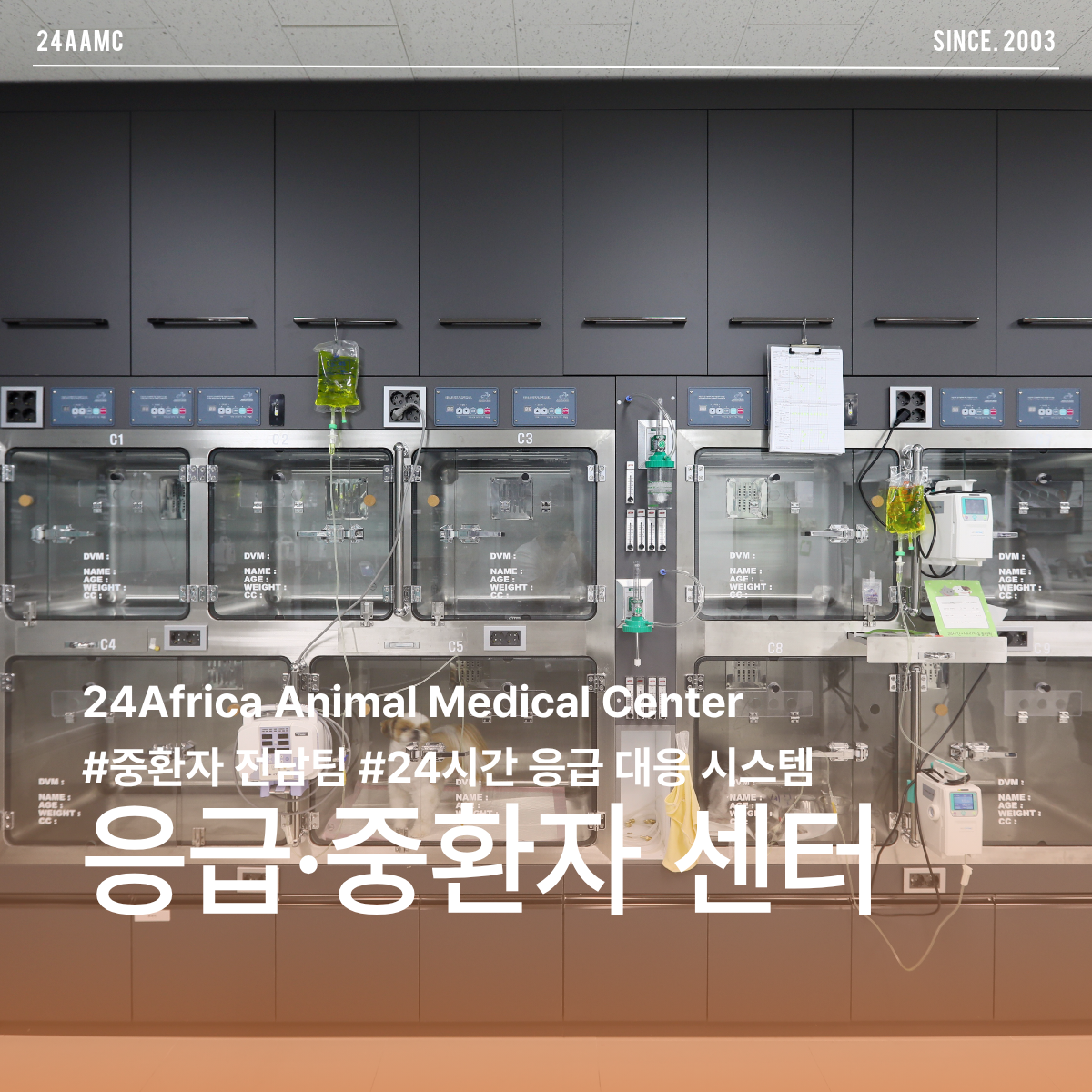 24아프리카동물메디컬센터