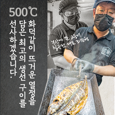 부산에뜬고등어