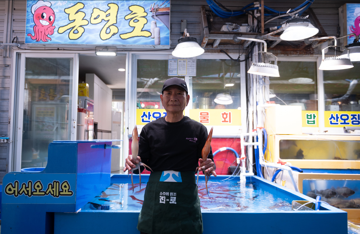 동영호