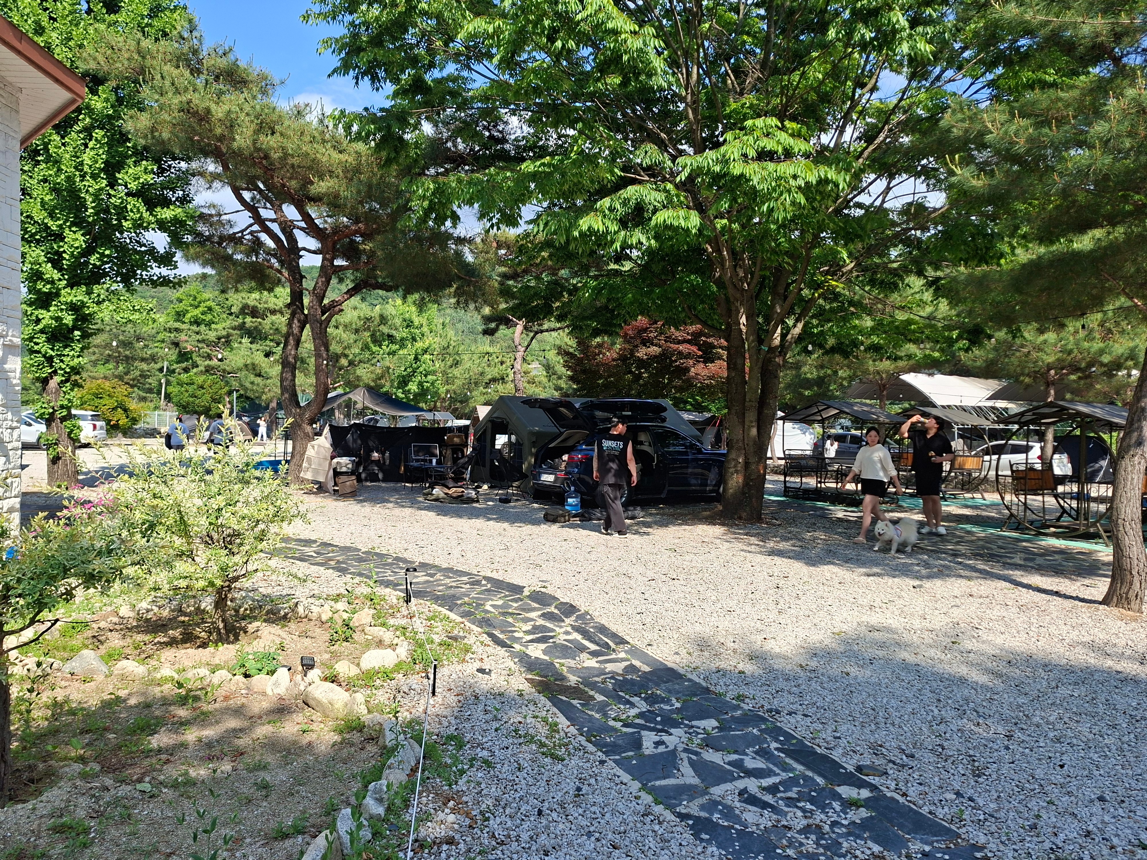 사진 2