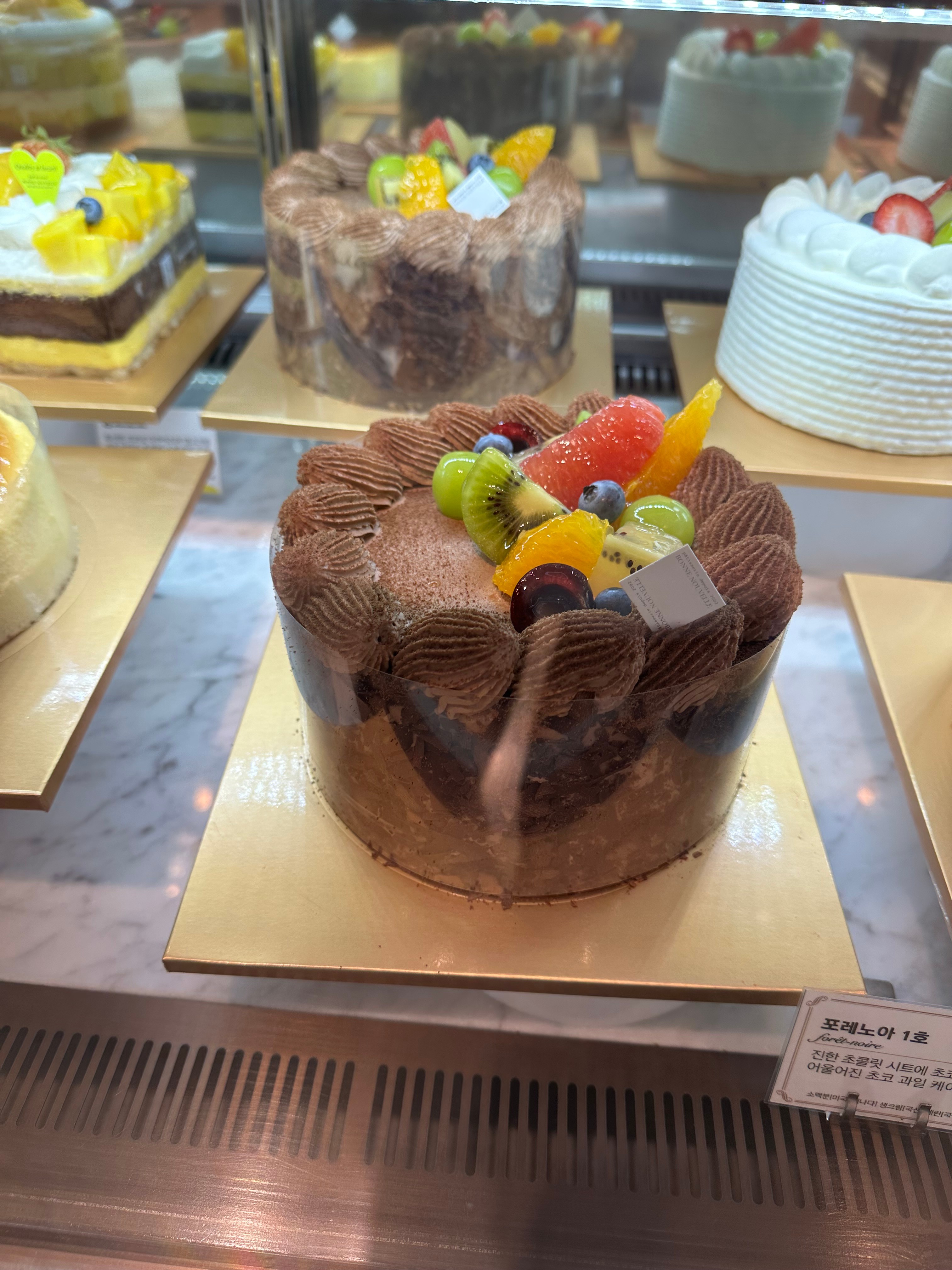 포레노아(지름15cm)