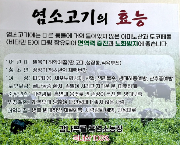 초아네집