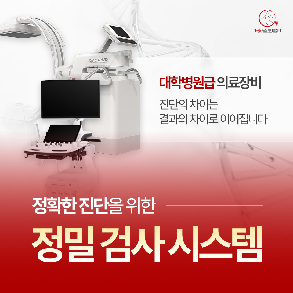 마포온동물메디컬센터 대표 이미지