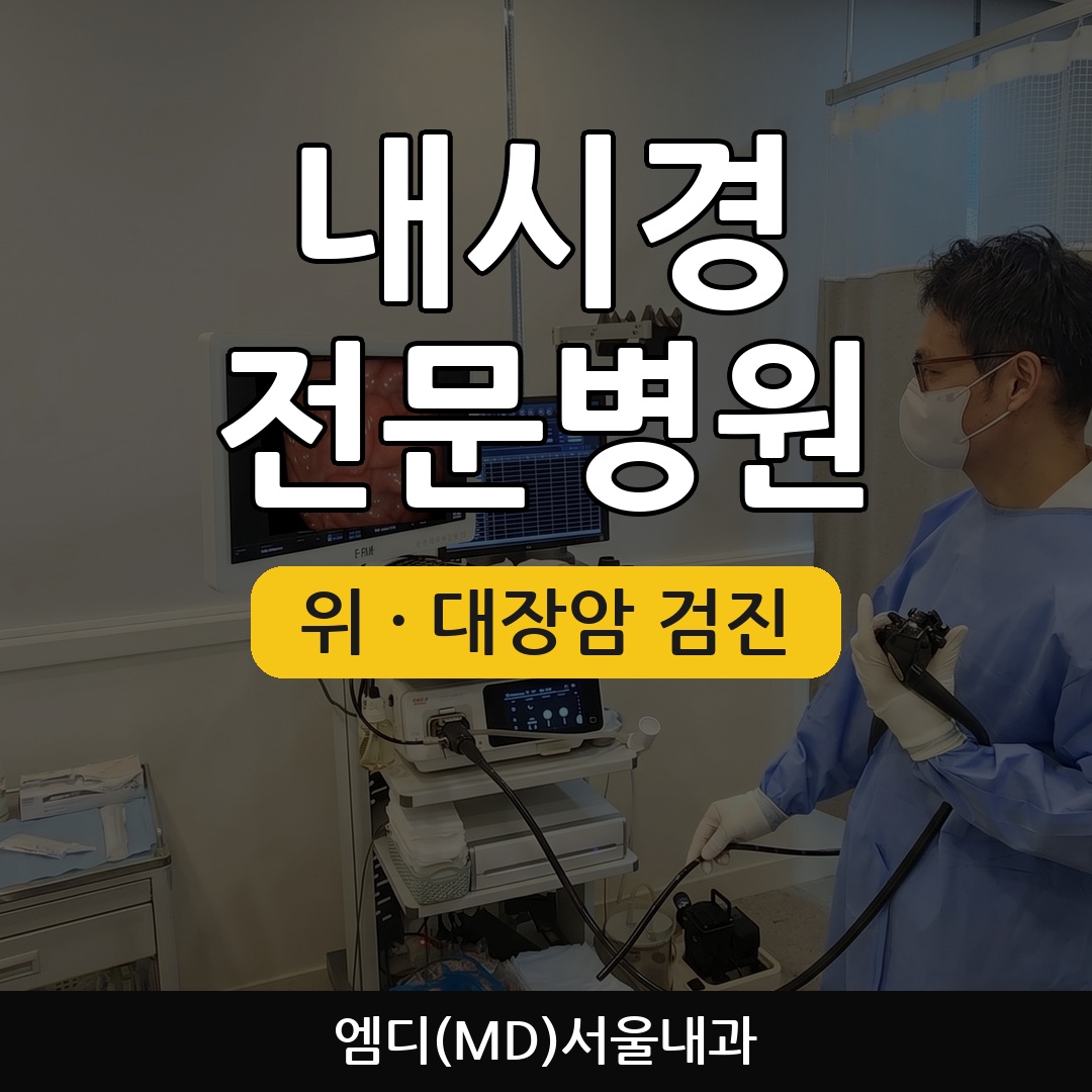 엠디서울내과의원