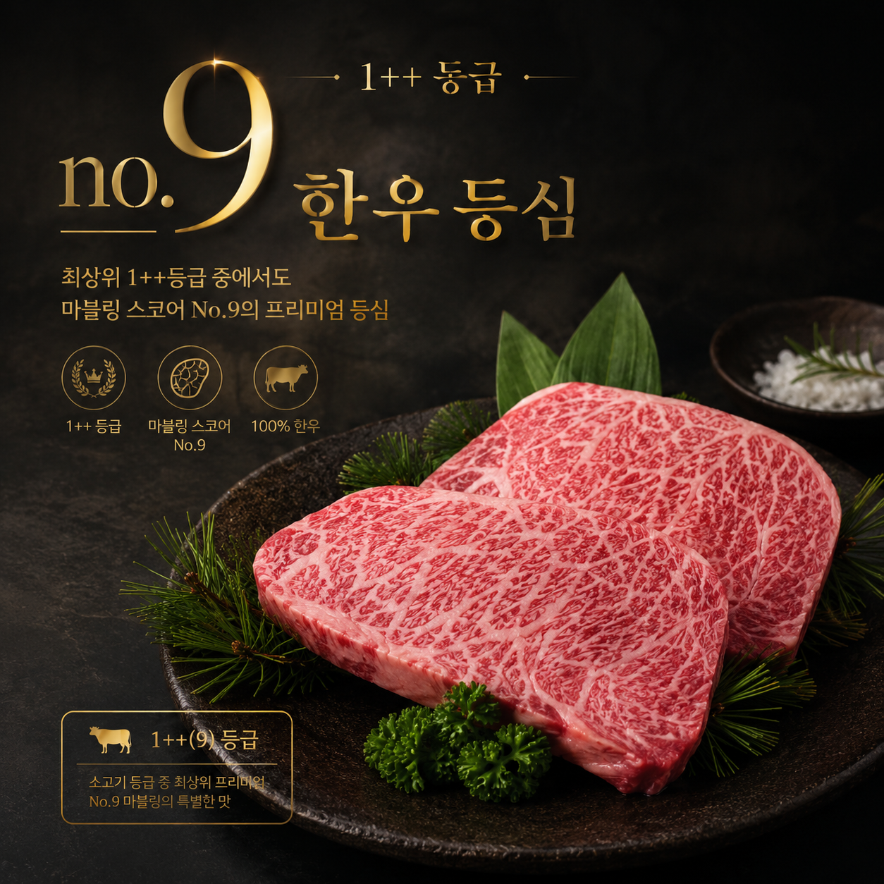 1++ No.9 한우등심(100g)