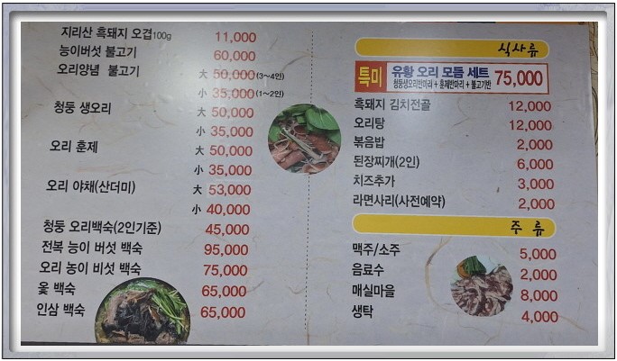 시골오리