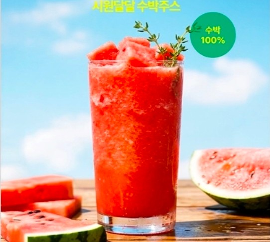 오퍼스240