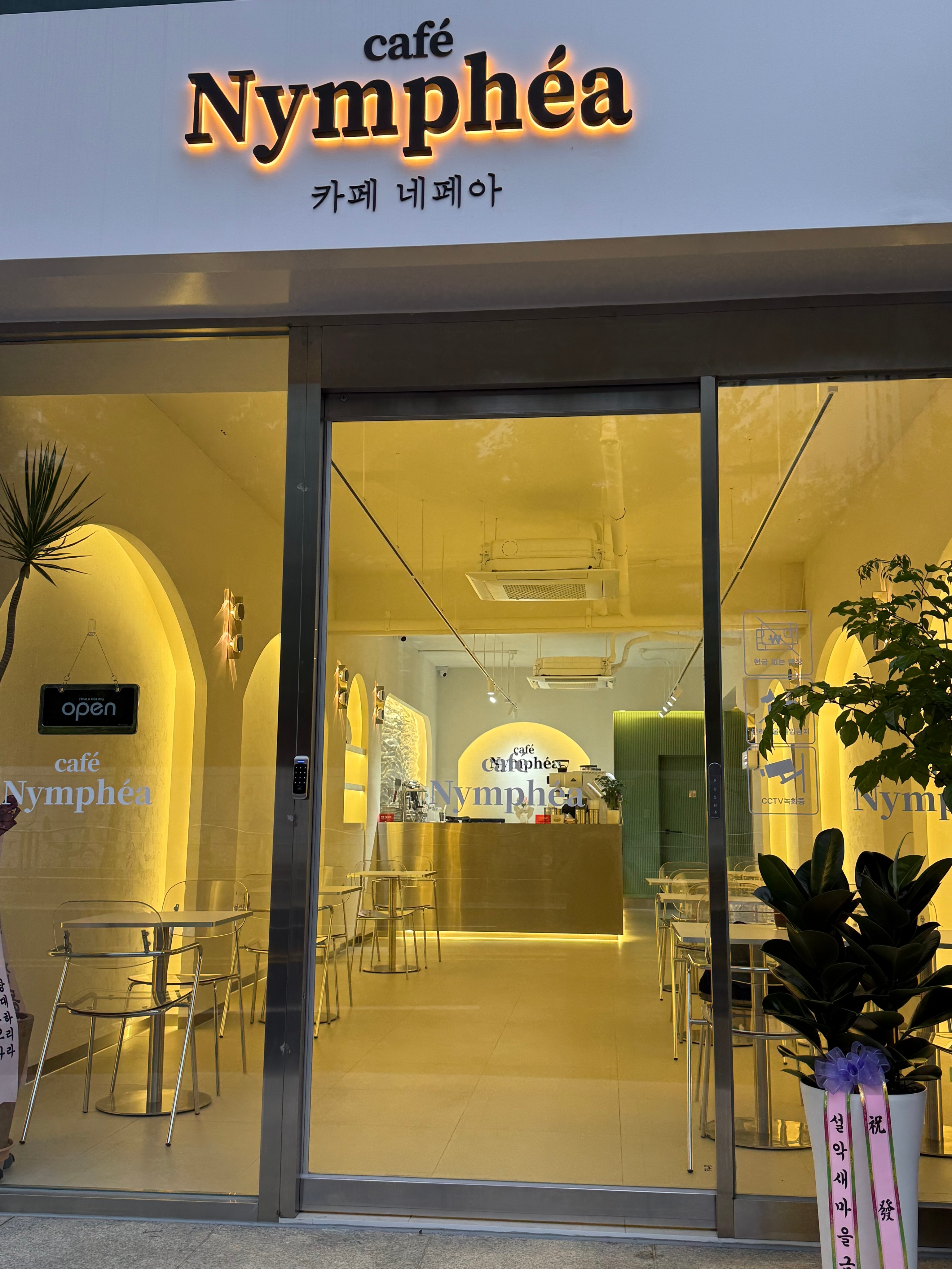 네페아 6