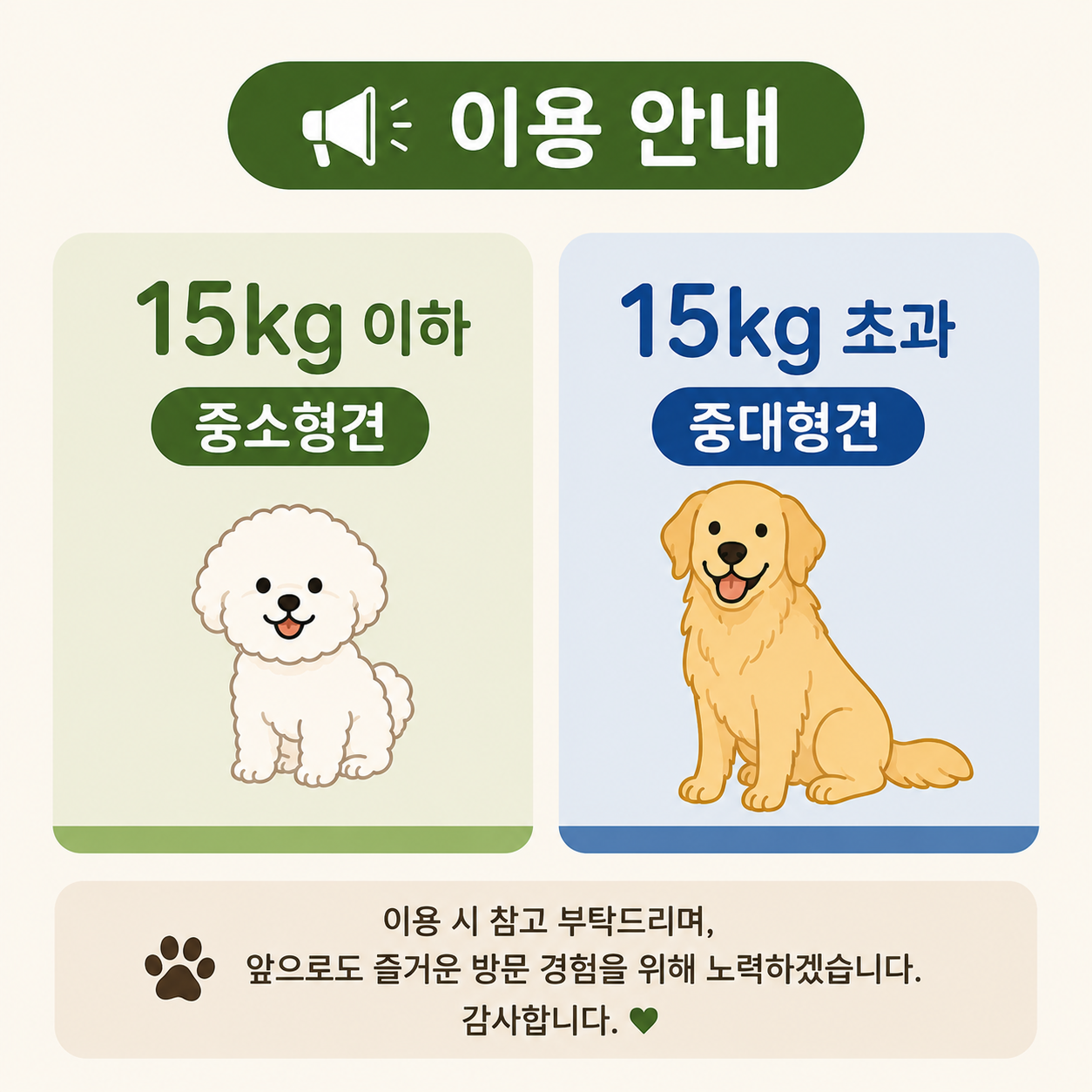 사진 3