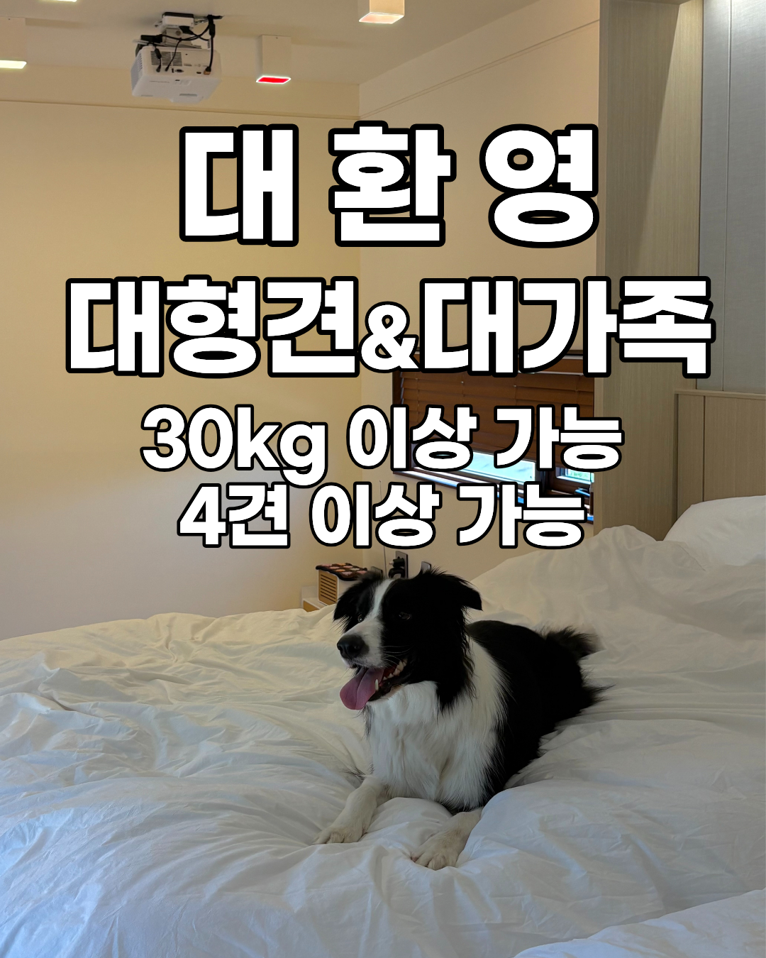 스테이옛 기억의온도
