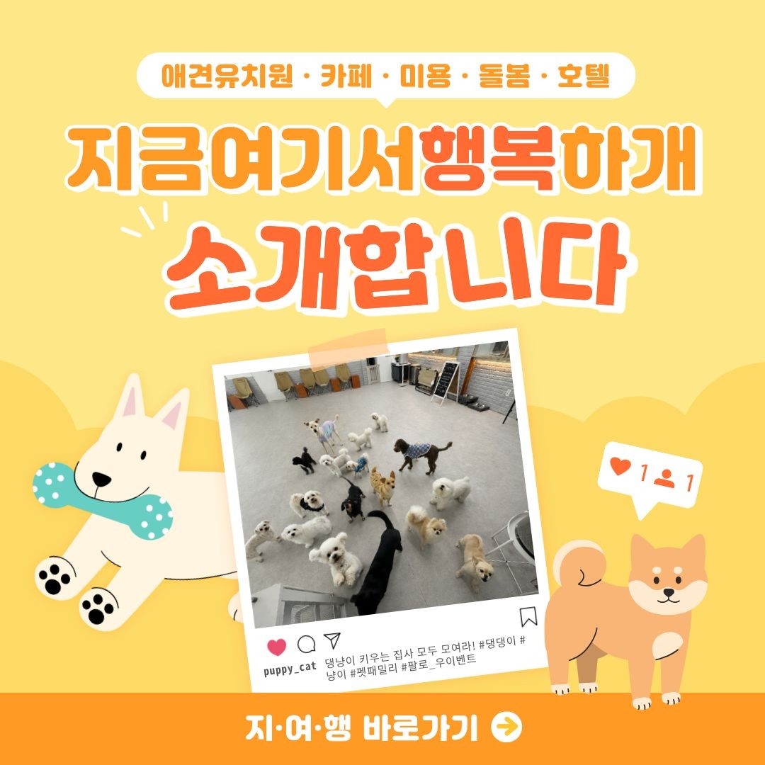 지금여기서행복하개