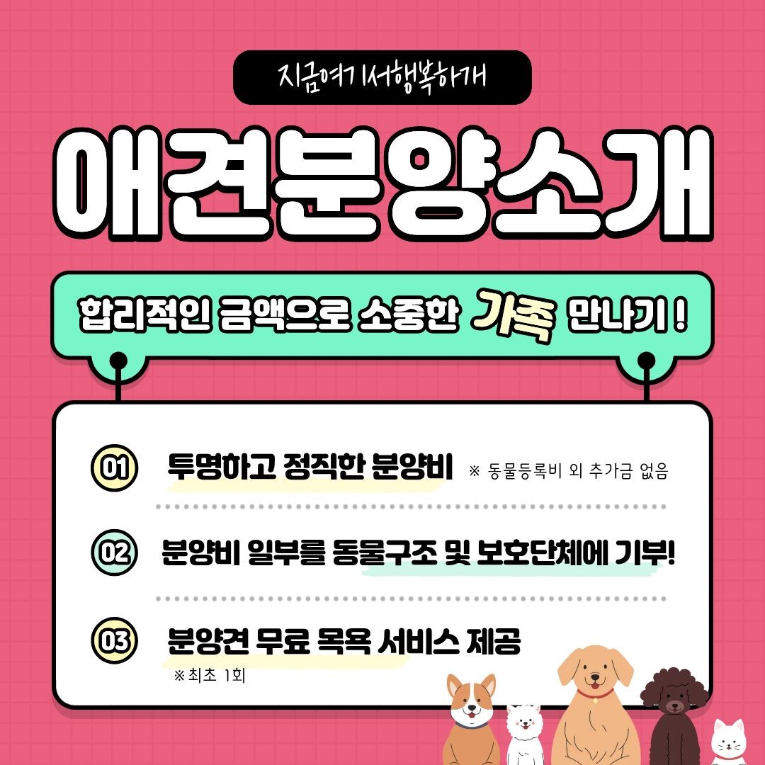 사진 4