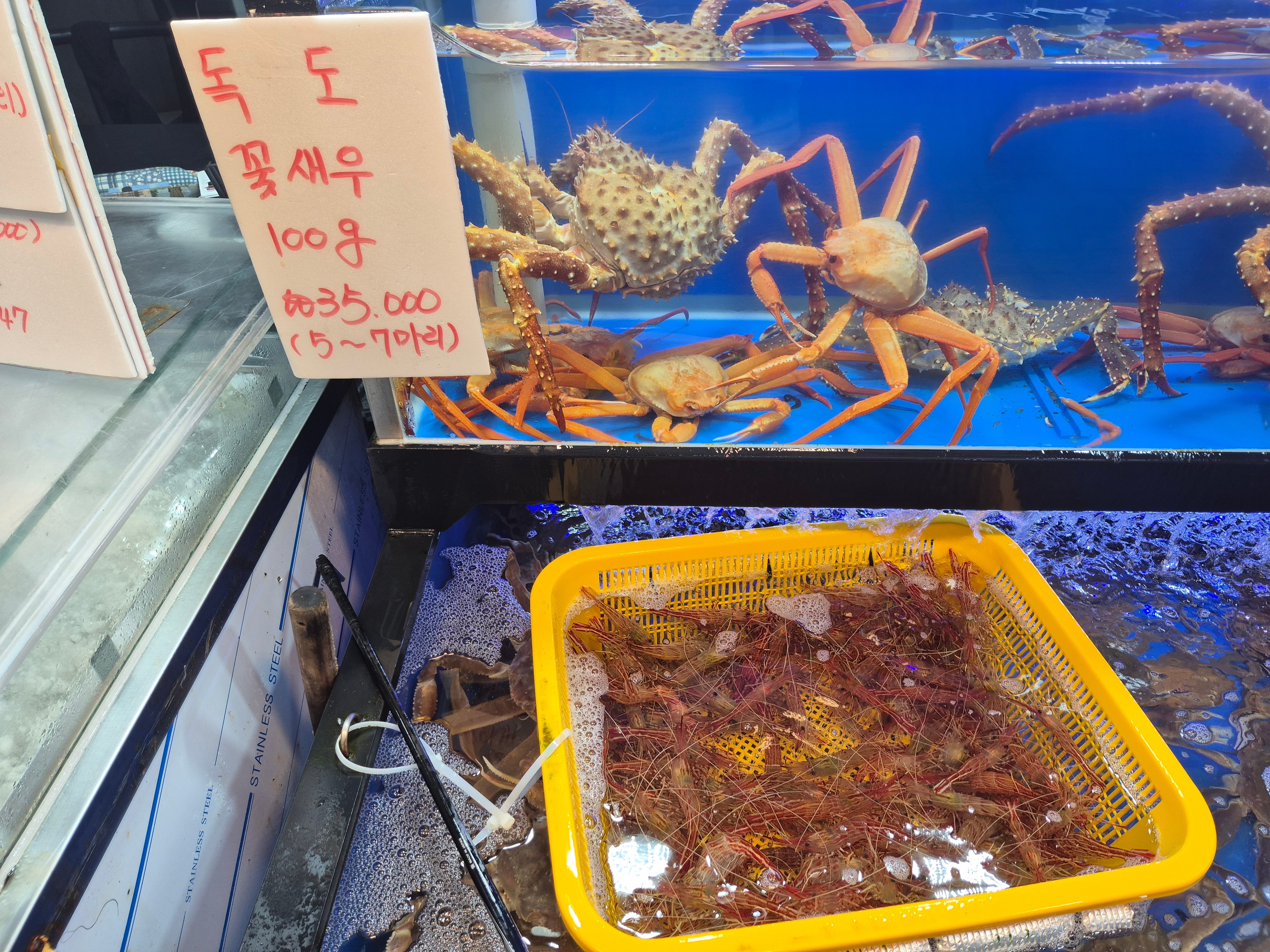 아빠가잡아온붉은대게 4