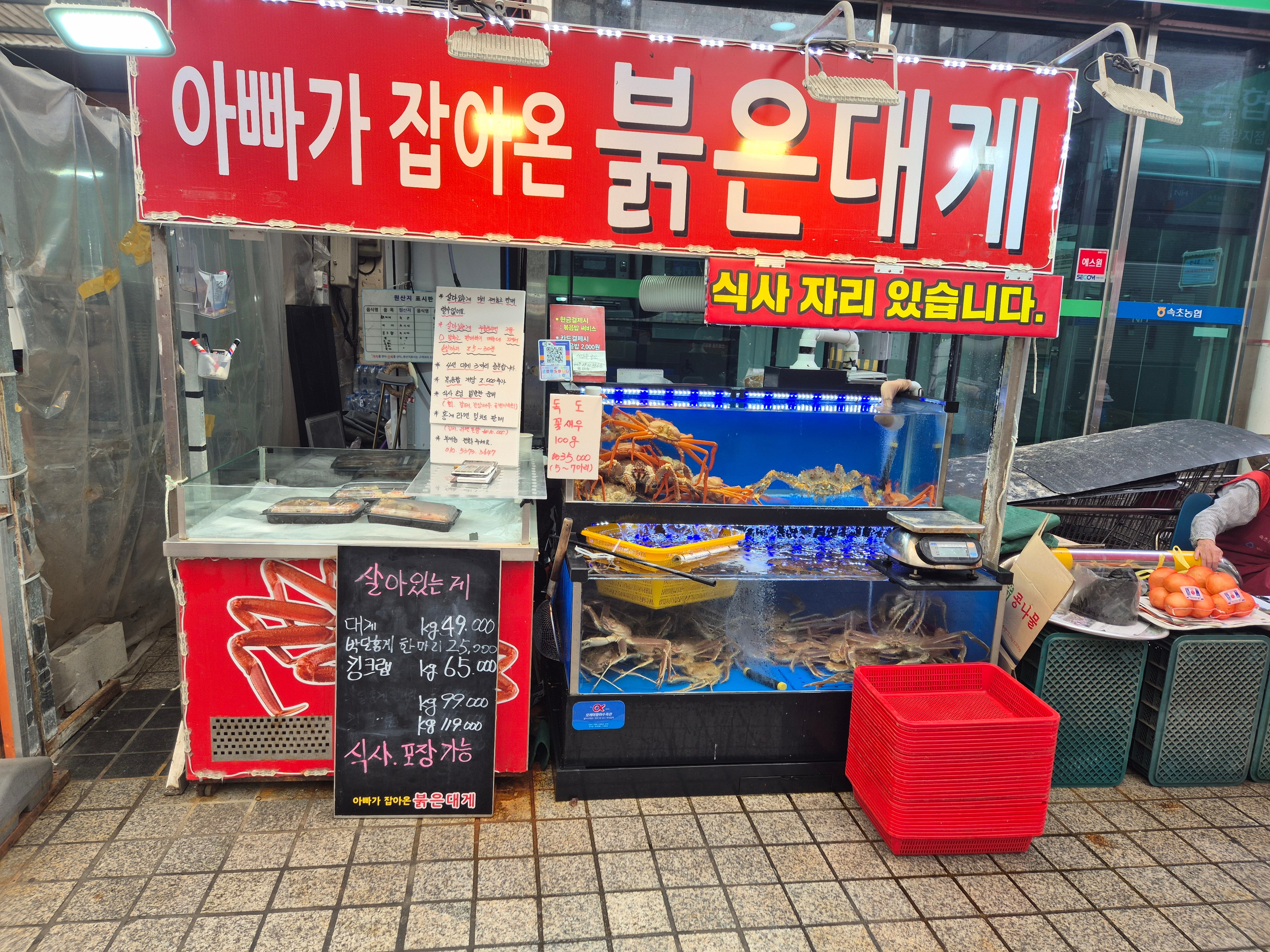 아빠가잡아온붉은대게