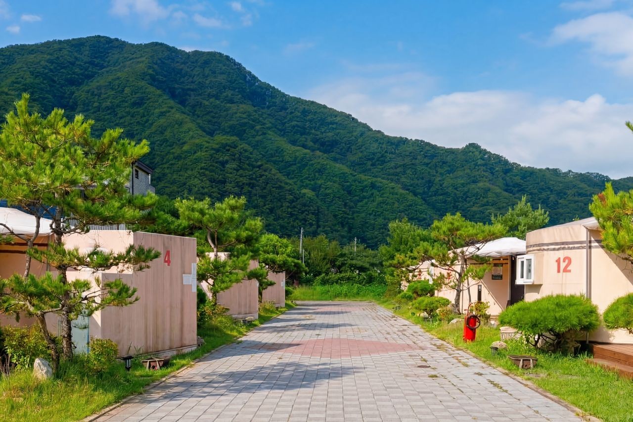 사진 3
