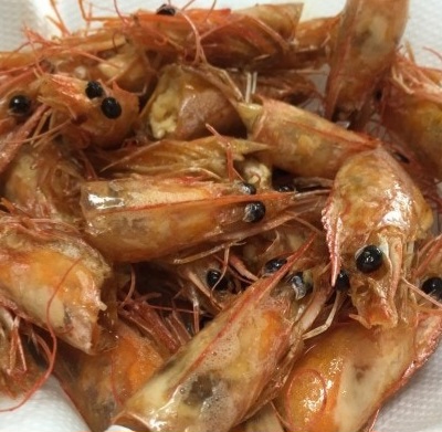 바다속친구들 옥계점