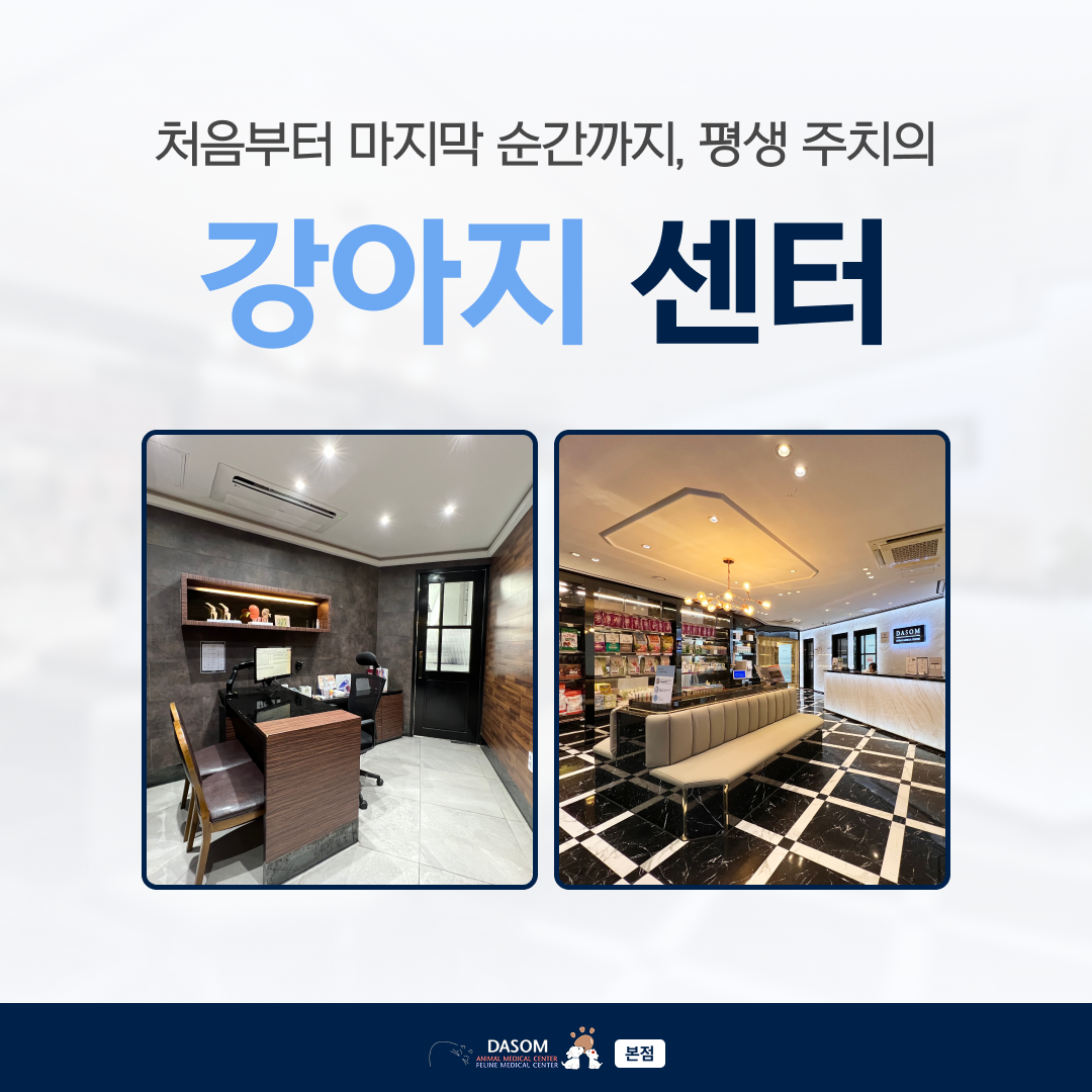 부산다솜동물메디컬센터 본원 대표 이미지