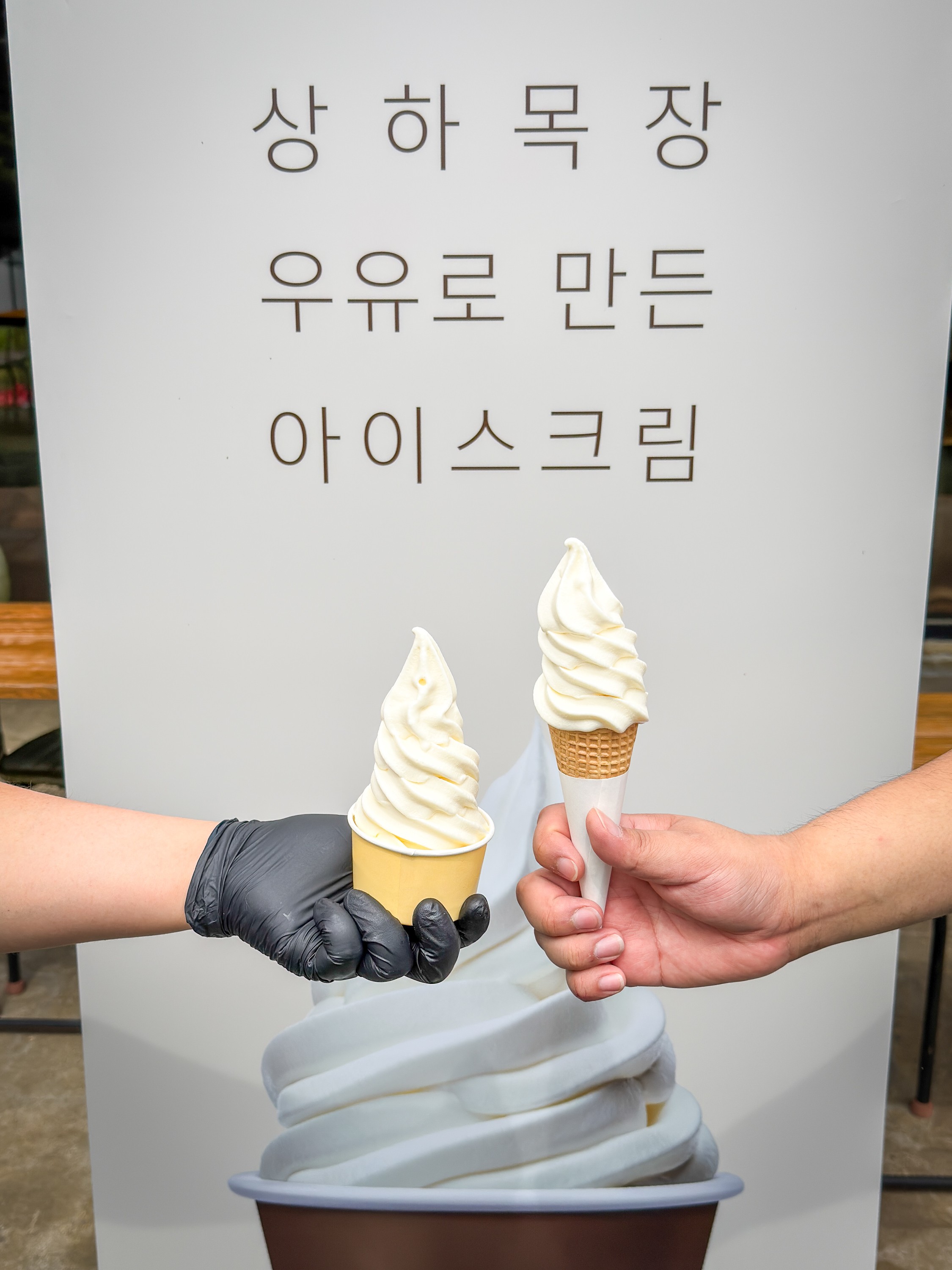 영랑호 카페 빈 2