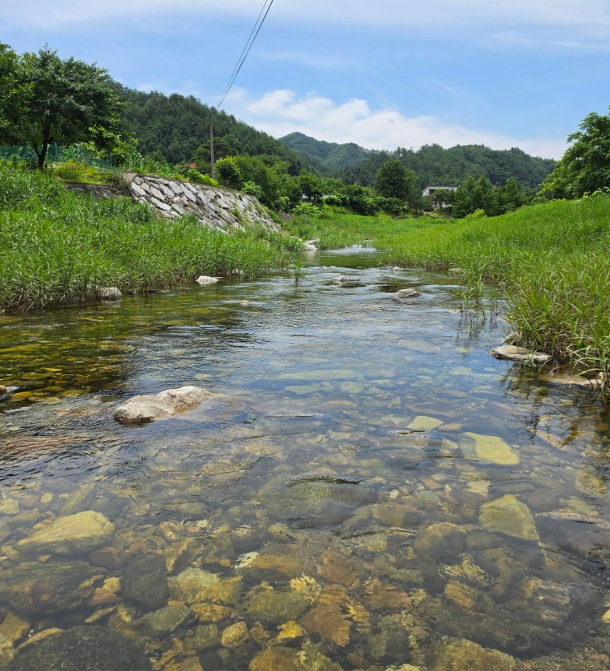 사진 3