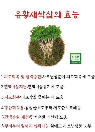 정직한능이삼계탕백숙