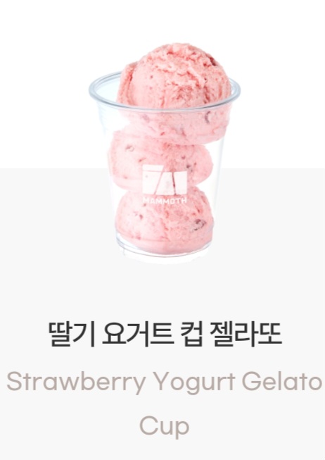 매머드익스프레스인천