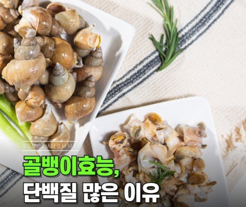 코코포차
