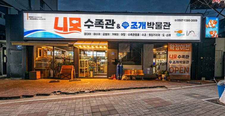 니모
