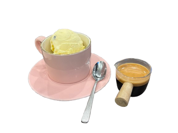 원앤식스
