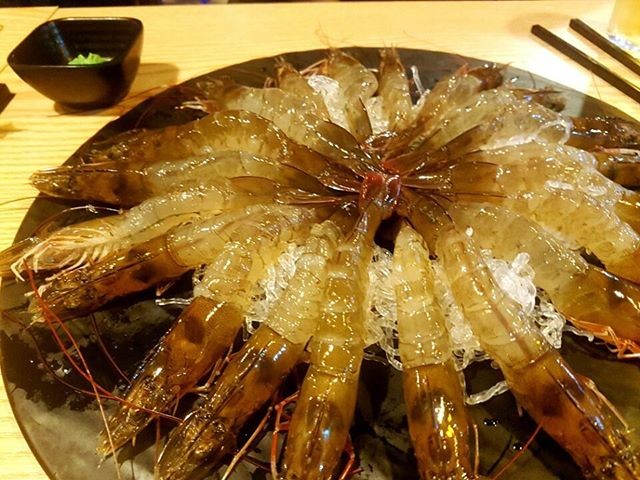 오징어연가