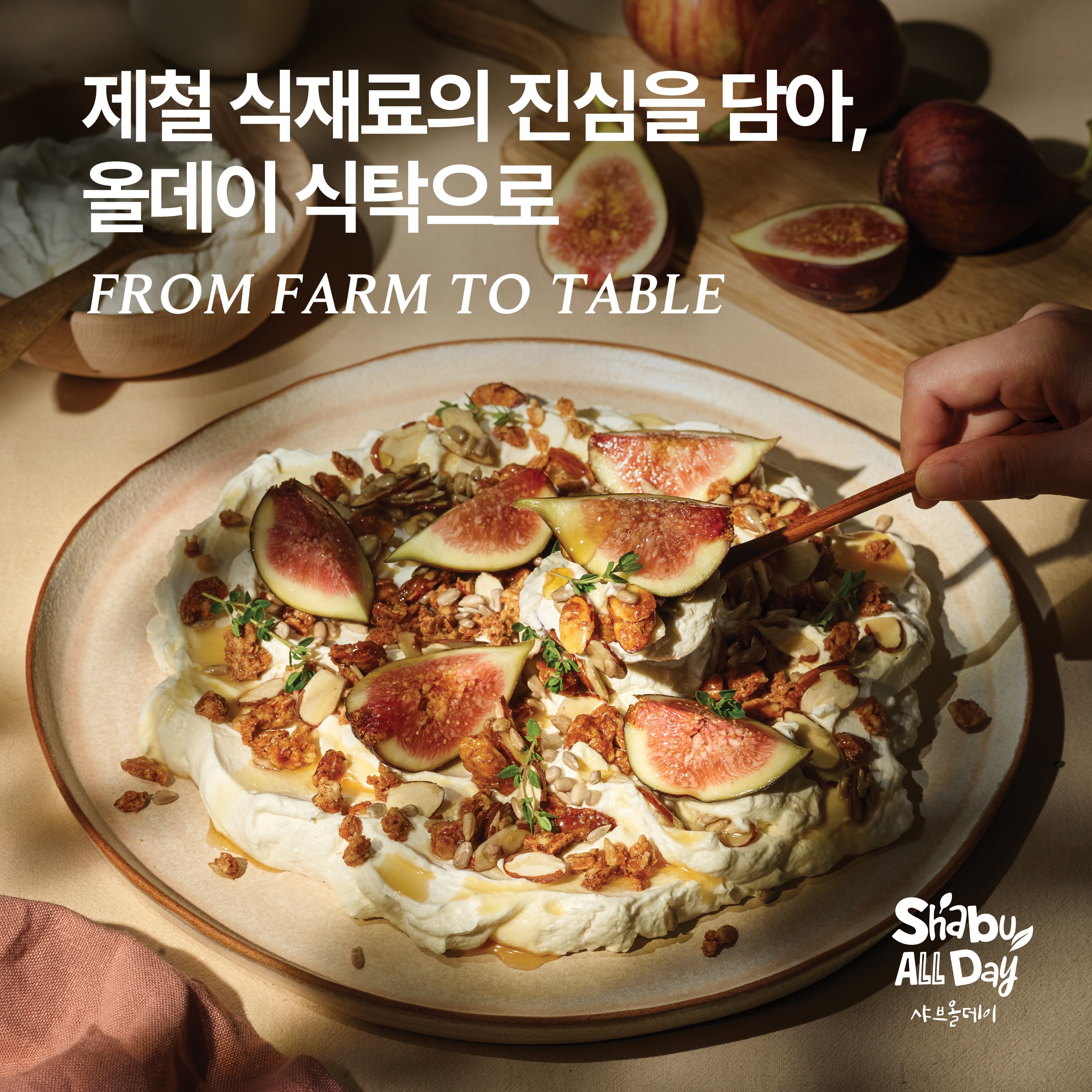 샤브올데이 속초점 2